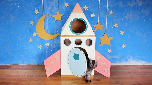 Cardboard Rocket for a Cat 
